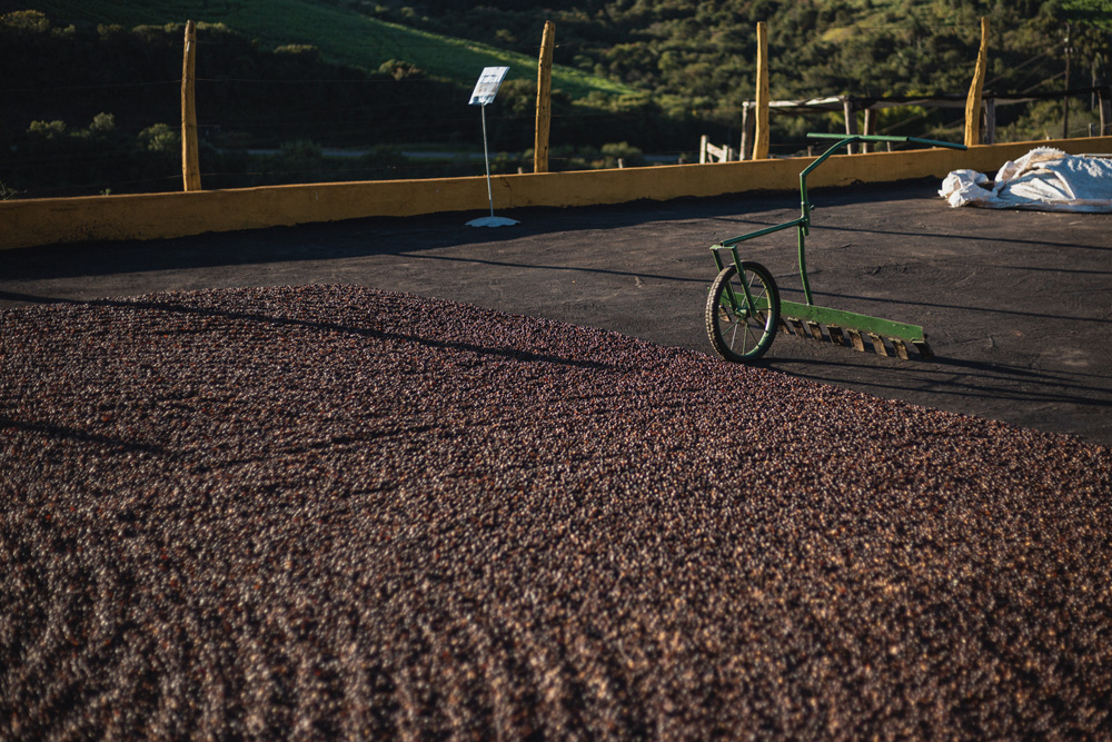 brasilien fazenda ip